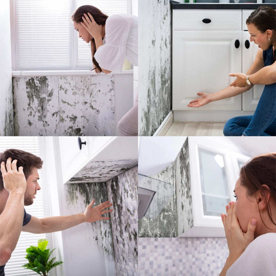 Hydroxseal™ Sprej Protiv Buđi 1+1 GRATIS – Uništi Buđ Zauvek, osveži prostr prijatnim mirisom limuna!