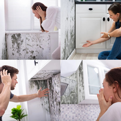 Hydroxseal™ Sprej Protiv Buđi 1+1 GRATIS – Uništi Buđ Zauvek, osveži prostr prijatnim mirisom limuna!